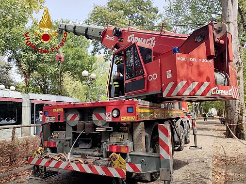 Le operazioni di rimozione della pianta caduta sul tram