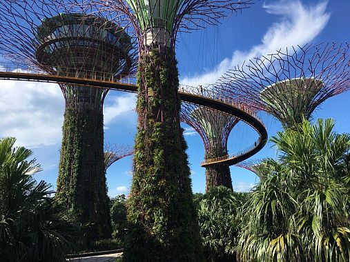 I supertree nei Gardens by the Bay - foto Blue Lama