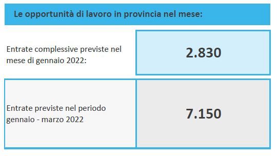 Le assunzioni previste in numeri