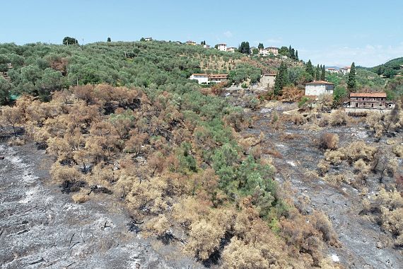 Una delle immagini rilevate dai droni